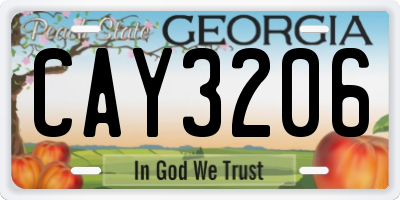 GA license plate CAY3206