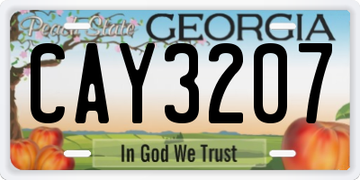 GA license plate CAY3207