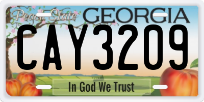 GA license plate CAY3209
