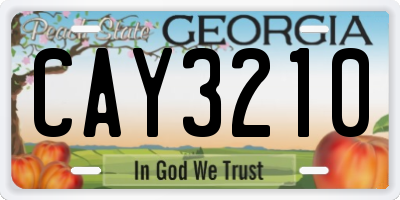 GA license plate CAY3210