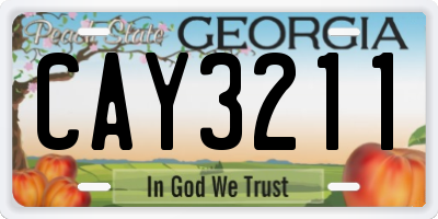 GA license plate CAY3211