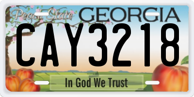 GA license plate CAY3218