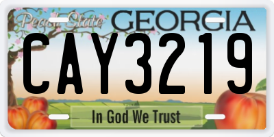 GA license plate CAY3219