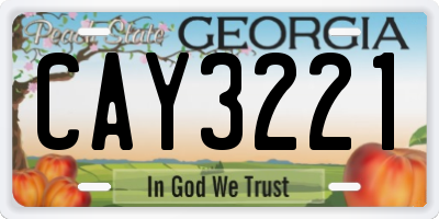 GA license plate CAY3221