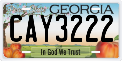 GA license plate CAY3222