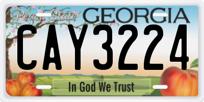 GA license plate CAY3224