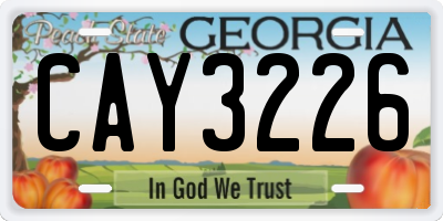 GA license plate CAY3226