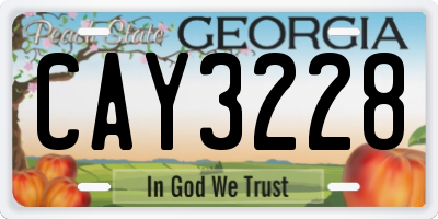 GA license plate CAY3228