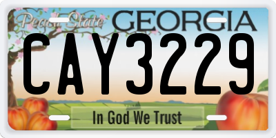 GA license plate CAY3229