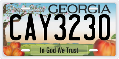 GA license plate CAY3230
