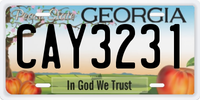 GA license plate CAY3231
