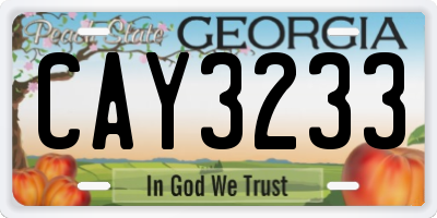 GA license plate CAY3233