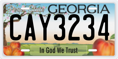 GA license plate CAY3234