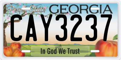 GA license plate CAY3237