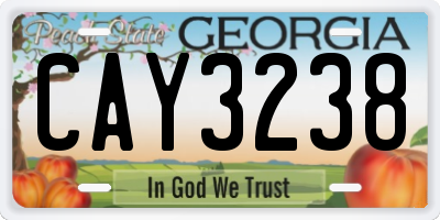 GA license plate CAY3238