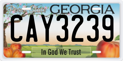 GA license plate CAY3239