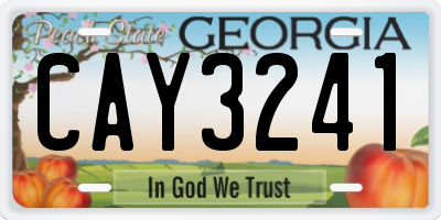 GA license plate CAY3241