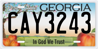 GA license plate CAY3243