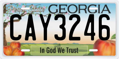 GA license plate CAY3246