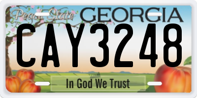 GA license plate CAY3248