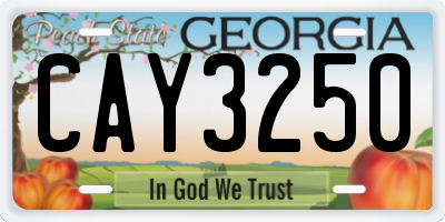 GA license plate CAY3250