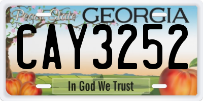 GA license plate CAY3252