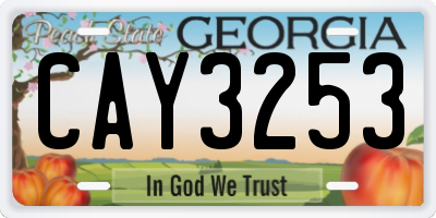 GA license plate CAY3253
