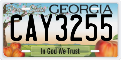 GA license plate CAY3255