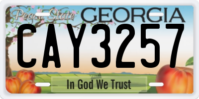 GA license plate CAY3257