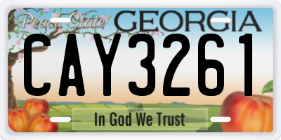 GA license plate CAY3261