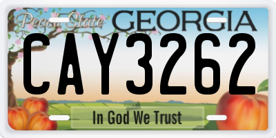 GA license plate CAY3262