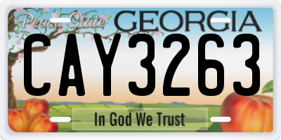 GA license plate CAY3263