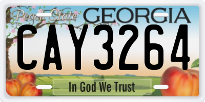 GA license plate CAY3264