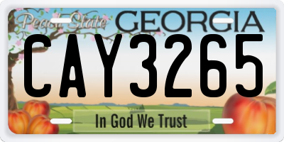 GA license plate CAY3265