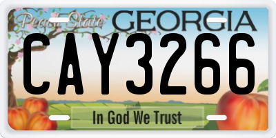 GA license plate CAY3266