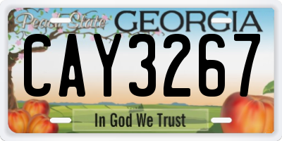 GA license plate CAY3267
