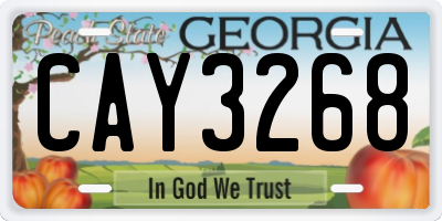 GA license plate CAY3268