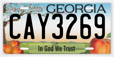 GA license plate CAY3269
