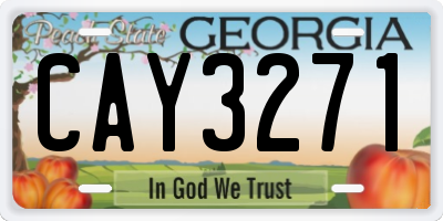 GA license plate CAY3271