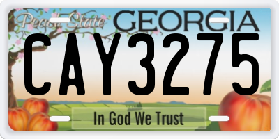 GA license plate CAY3275