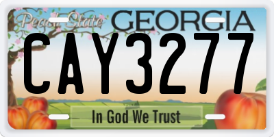 GA license plate CAY3277