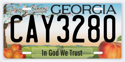 GA license plate CAY3280