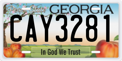 GA license plate CAY3281