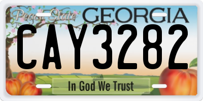GA license plate CAY3282