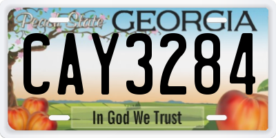 GA license plate CAY3284