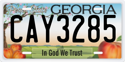GA license plate CAY3285