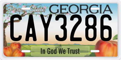 GA license plate CAY3286