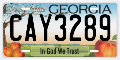 GA license plate CAY3289
