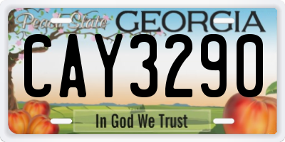 GA license plate CAY3290