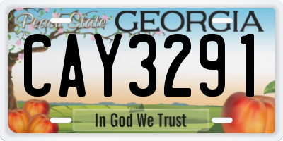 GA license plate CAY3291